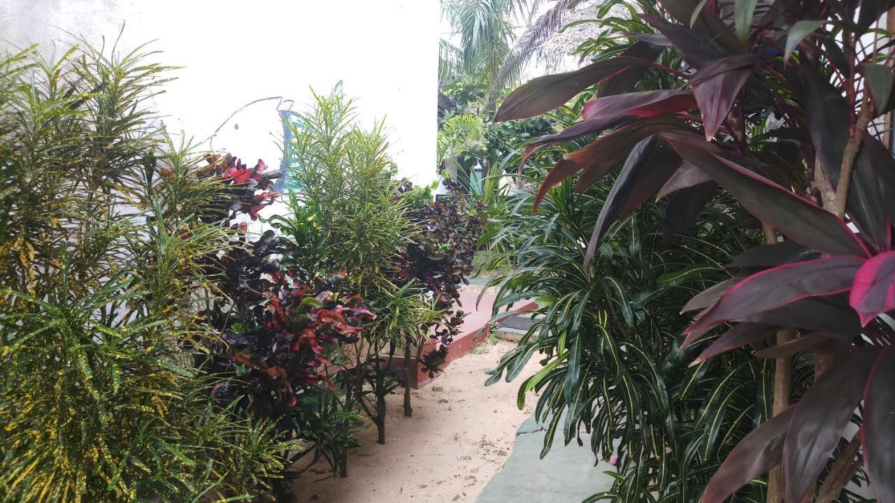 Julie Guest House Tangalle Exterior foto